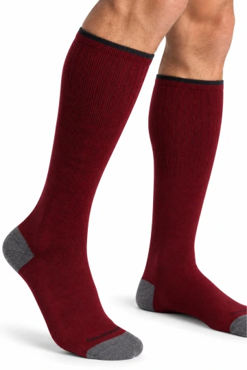 Elevation Men by SockWell in Preisselbeere