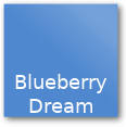 Sigvaris Style Blueberry Dream