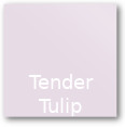 Tender Tulip