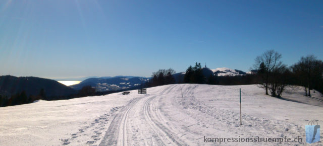 Langlauf Tour Seeland mit Blick auf den Neuenburgersee