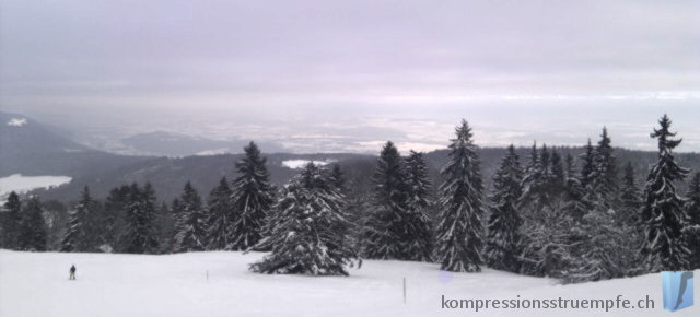 Winterpanorama