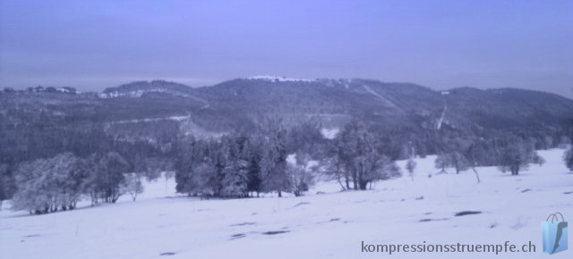 Winterpanorama