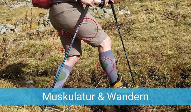 Muskulatur & Wandern