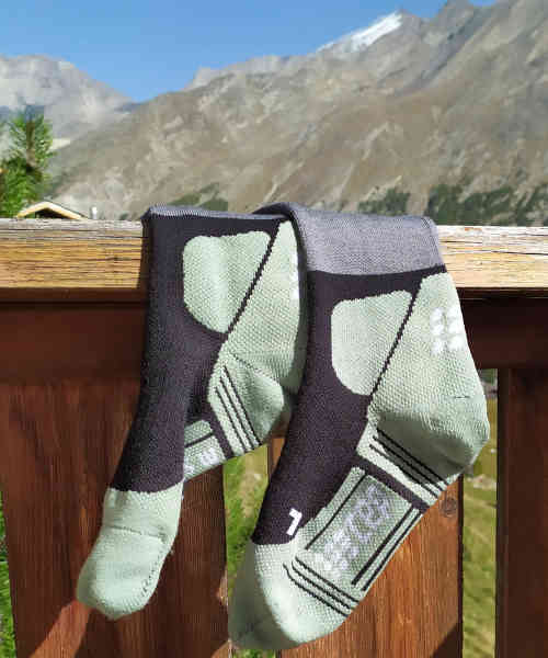 CEP Max Cushion Socks im Test