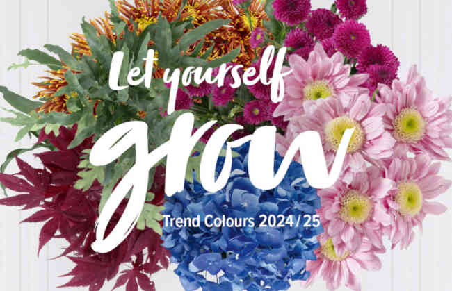 Let Yourself Grow - Trendcolors Juzo 2024/2025